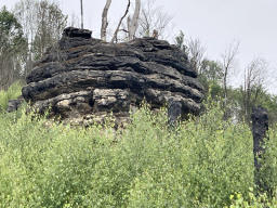 Edmundova soutěska / Edmundsklamm